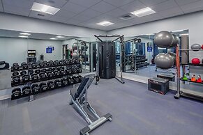 Scholar State College, Tapestry Collection by Hilton