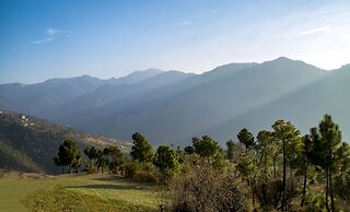 The Manor Luxury Apartments