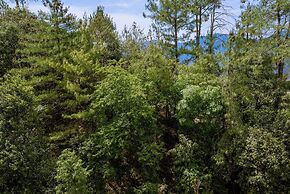 The Manor Luxury Apartments