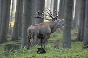 Landhotel am Rothenberg