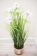 Sw. Barbary Old Town by Renters