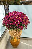 Sia Mare City Center Apartment Rhodes