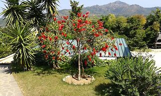 Apartment in Villa 2 to 4 Persons With Large Private Garden Sole