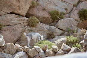 Once in Mykonos - Designed for Adults