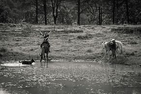 Rancho con Caballos El Reencuentro