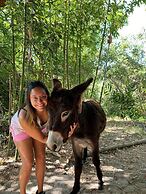 Casa LUNAH Cabalgatas y Meditación