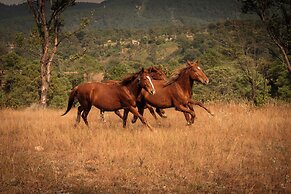 Rancho con Caballos El Reencuentro