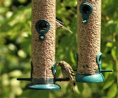 Hollicarrs - Stag Lodge