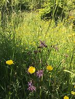 Hollicarrs - Stag Lodge