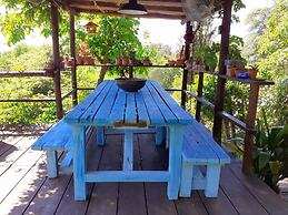 Tuscan Hills Near Florence - Stone Farm House