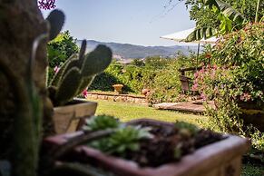Tuscan Hills Near Florence - Stone Farm House