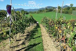 Tuscan Hills Near Florence - Stone Farm House