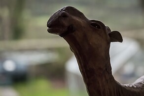 Orchard Cottage - Luxury Barn Conversion