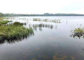 Holiday Home in Ansager