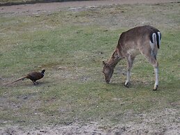 9 Person Holiday Home in Fano