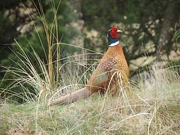 9 Person Holiday Home in Fano