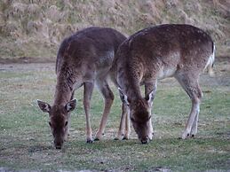 9 Person Holiday Home in Fano