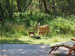 4 Person Holiday Home in Fano