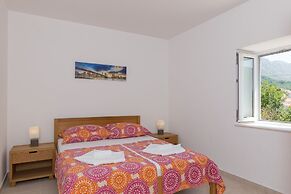 Little Village House