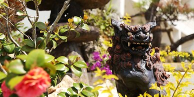 Bears Stay Kumejima Ifu Beach