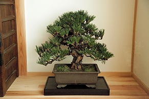 Yamagata Kyomachi Hatago Gojo Nishitoin