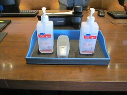 Regenta Resort & Spa Mashobra