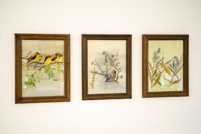 Ferienwohnungen Jonuscheit