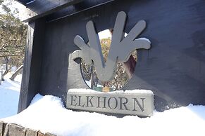 Elkhorn 11