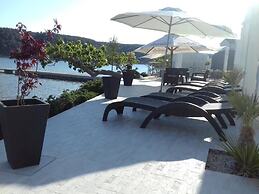 Room in Guest Room - Guesthouse Raffaello