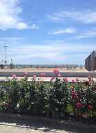 Charming Apartment With Garden - Beahost