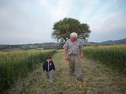 Casa Girasole Agriturismo Le Selvole Tuscany