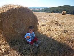 Casa Spiga Agriturismo Le Selvole - Tuscany