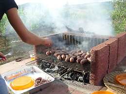 Casa Spiga Agriturismo Le Selvole - Tuscany