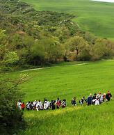 Casa Olivo Agriturismo Le Selvole - Tuscany