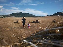 Casa Olivo Agriturismo Le Selvole - Tuscany