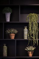 Exclusive Apartments Mostowa by Renters