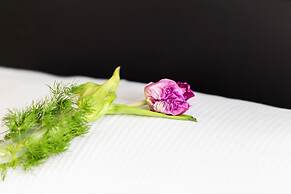 Modern Apartments City Center by Renters