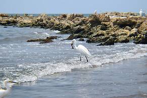 Apartamentos con vista al Mar - Edificio Conquistador