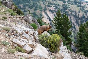 Courtyard by Marriott Salt Lake City Cottonwood