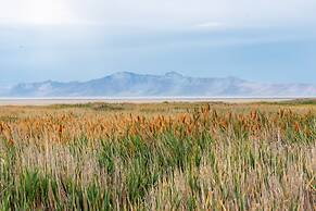 Courtyard by Marriott Salt Lake City Cottonwood