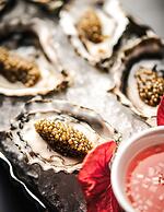 Las Vegas Hilton at Resorts World