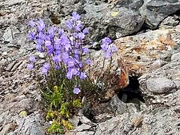 6 Person Holiday Home in Hartbakke