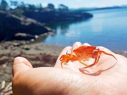 6 Person Holiday Home in Hartbakke