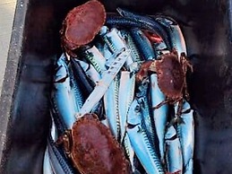 6 Person Holiday Home in Hartbakke