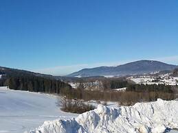 Apartment in the Bavarian Forest With Balcony