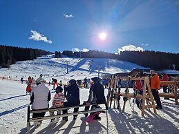 Apartment in St. Lambrecht Near ski Area