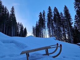 Apartment in St. Lambrecht Near ski Area