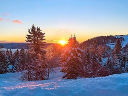 51 Person Holiday Home in BOE Telemark