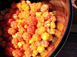 3 Person Holiday Home in BOE Telemark