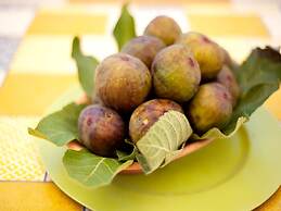 Belvilla by Oyo Rubino